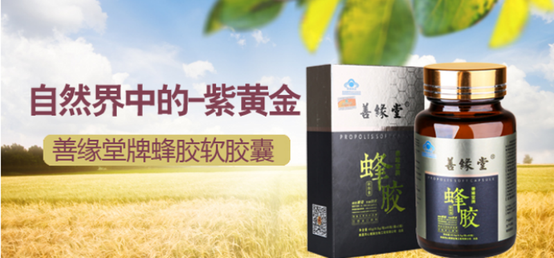 蜜蜂传奇：从河南源产地到全国市场的蜂产品供应链典范